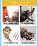 Fita Anti-iscos Para Gato Transparente -CatDog