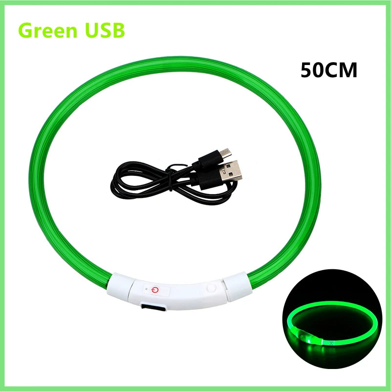 Coleira luminosa recarregável USB
