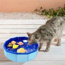 Piscina de Gato Aquático Para brincar