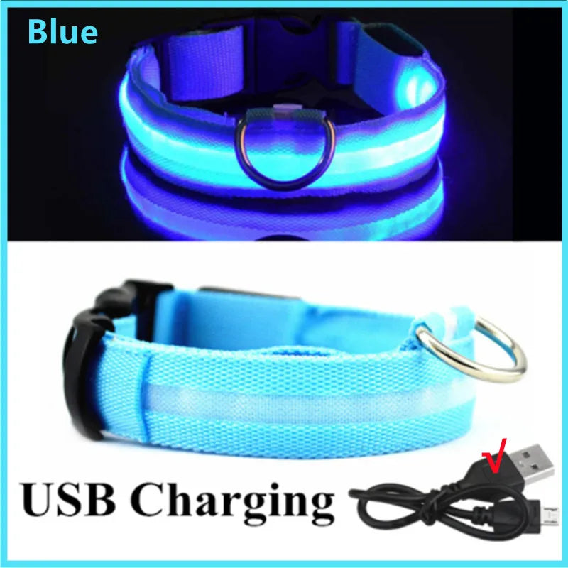 Coleira luminosa recarregável USB