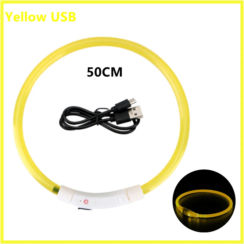 Coleira luminosa recarregável USB