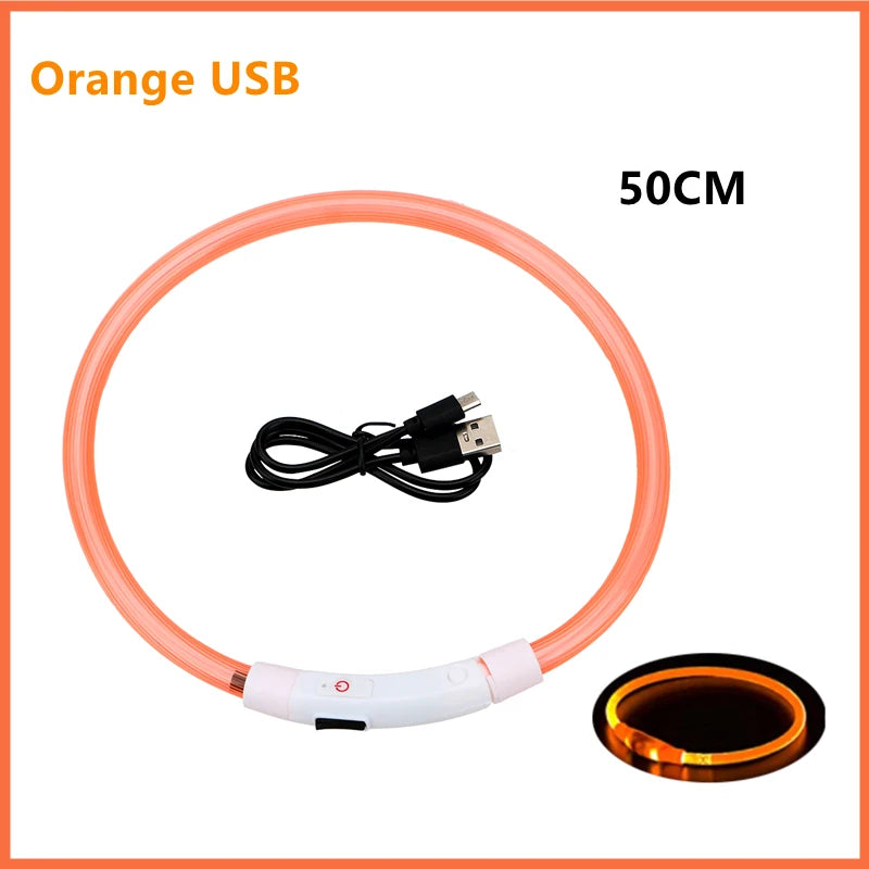 Coleira luminosa recarregável USB