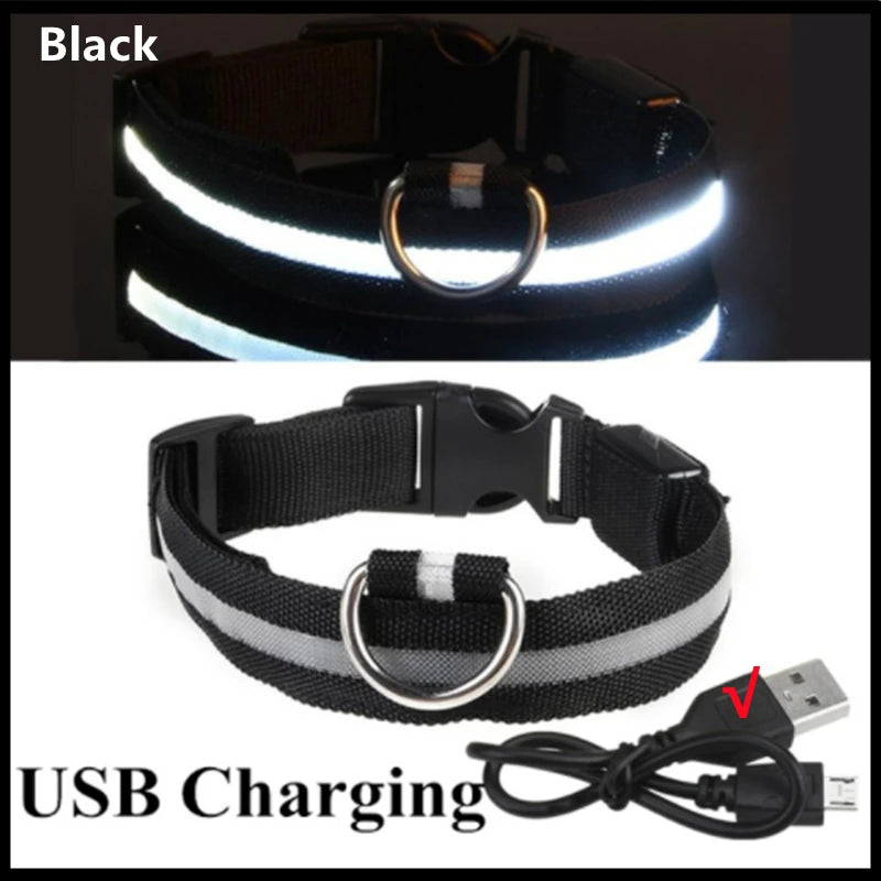 Coleira luminosa recarregável USB