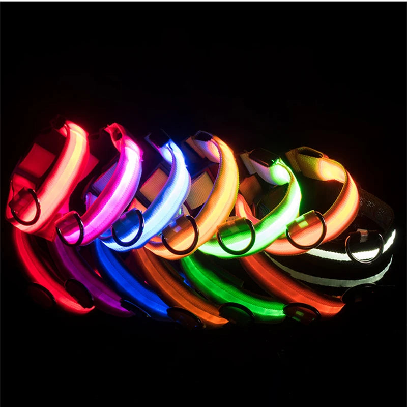 Coleira luminosa recarregável USB