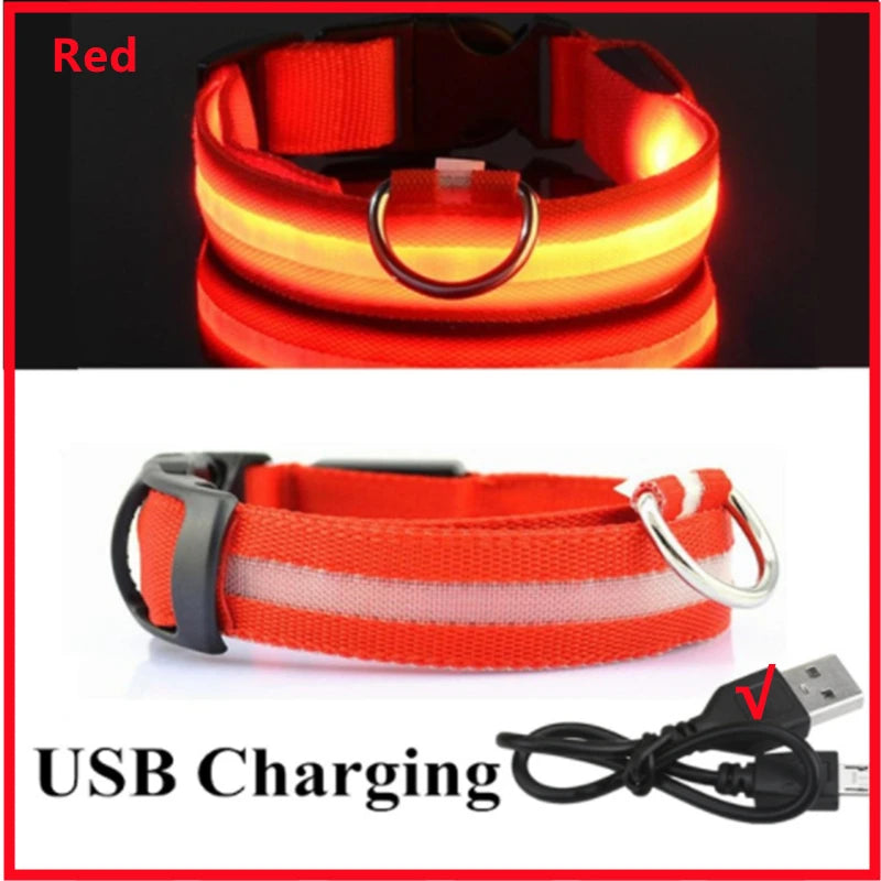 Coleira luminosa recarregável USB