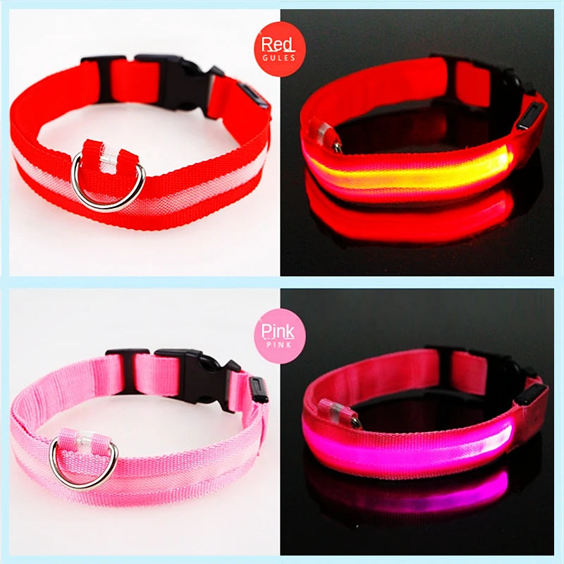Coleira luminosa recarregável USB