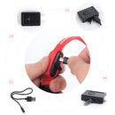 Coleira luminosa recarregável USB