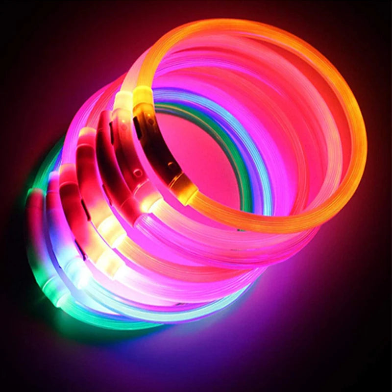 Coleira luminosa recarregável USB