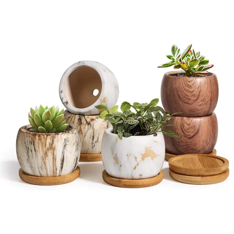 Vasos de Cerâmica para Suculentas