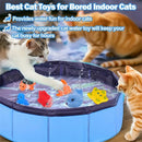 Piscina de Gato Aquático Para brincar