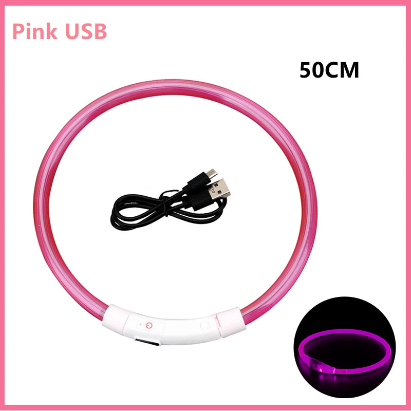 Coleira luminosa recarregável USB