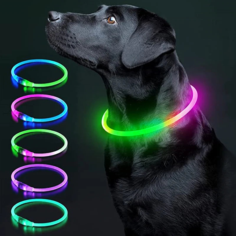 Coleira luminosa recarregável USB