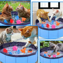 Piscina de Gato Aquático Para brincar