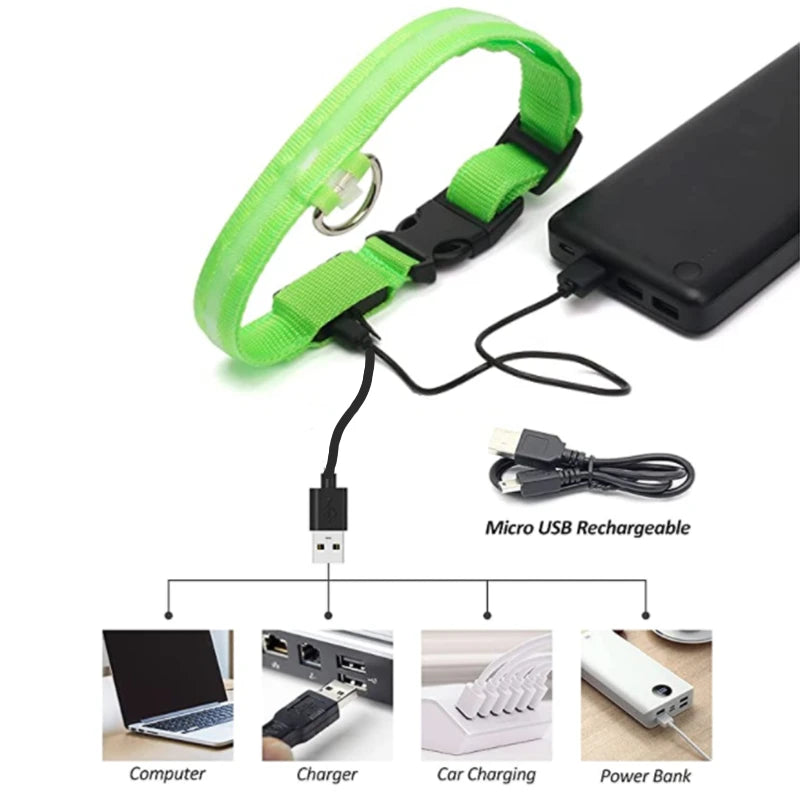 Coleira luminosa recarregável USB