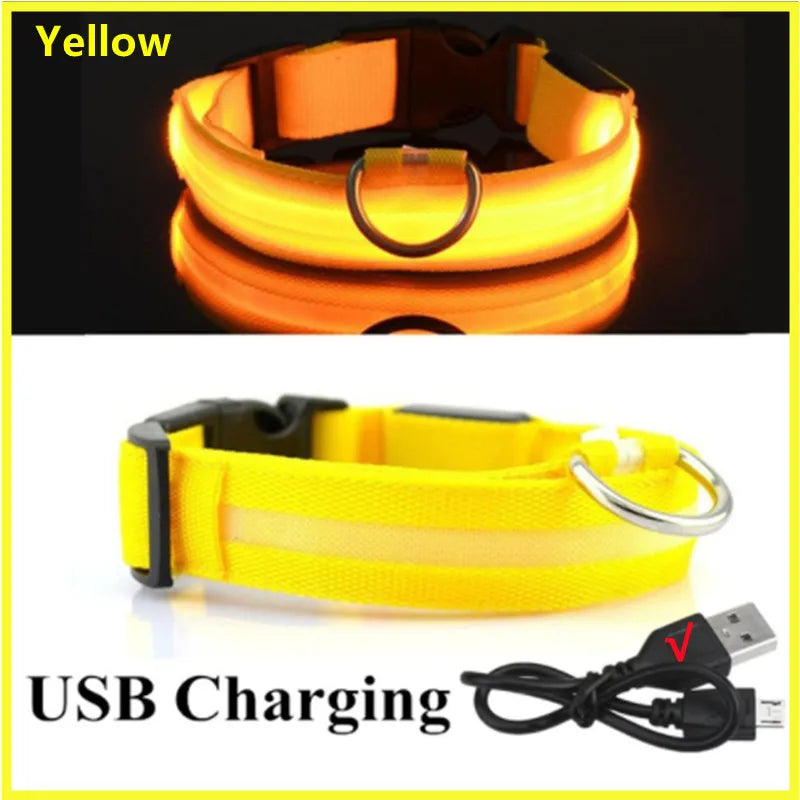 Coleira luminosa recarregável USB