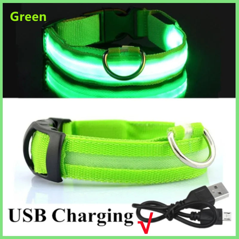 Coleira luminosa recarregável USB