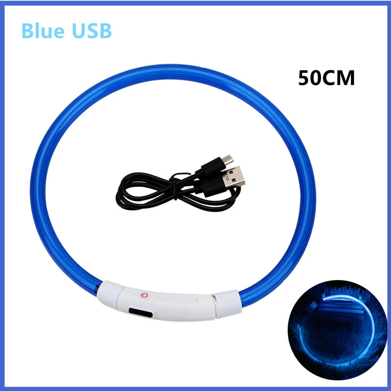 Coleira luminosa recarregável USB