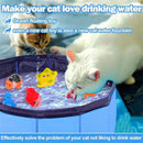 Piscina de Gato Aquático Para brincar
