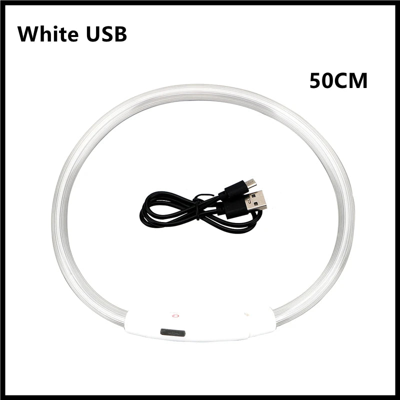 Coleira luminosa recarregável USB