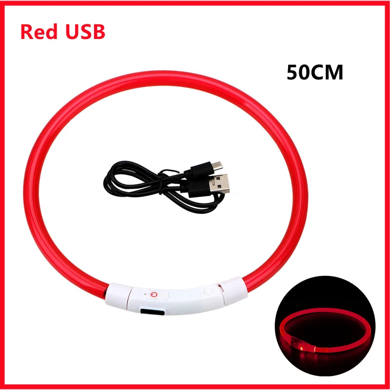 Coleira luminosa recarregável USB