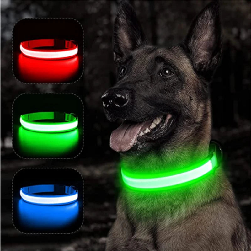 Coleira luminosa recarregável USB