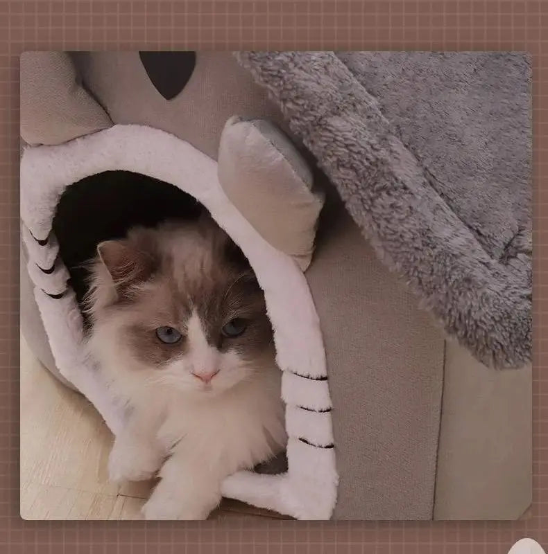 Casa Para Cães e Gatos -CatDog
