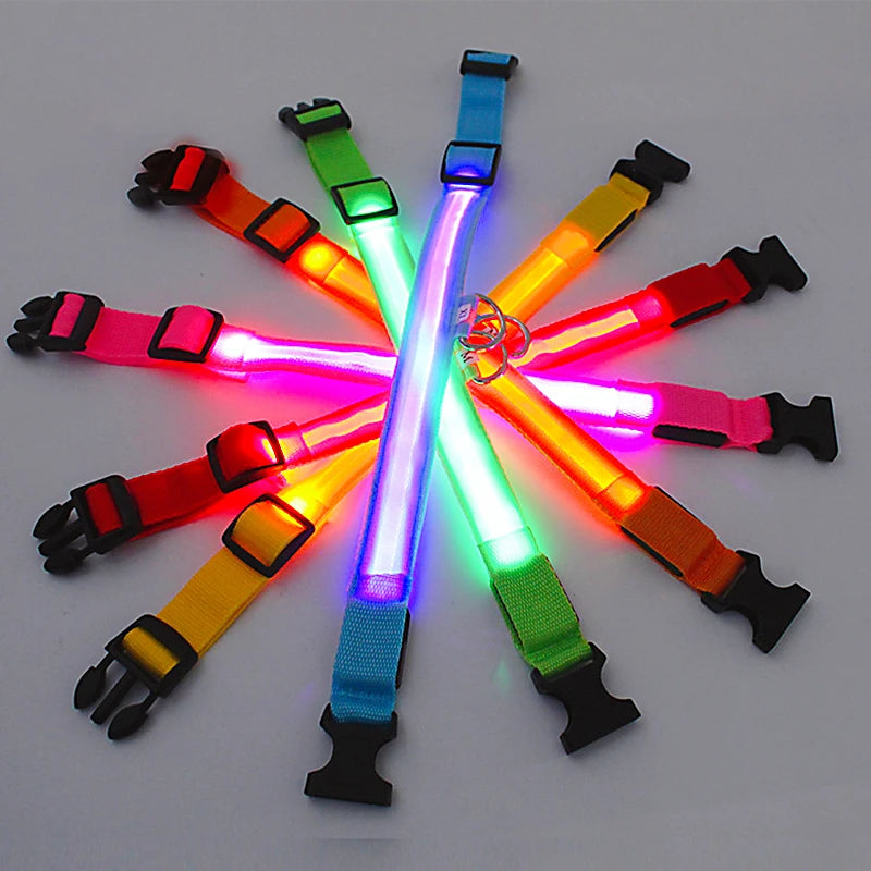 Coleira luminosa recarregável USB