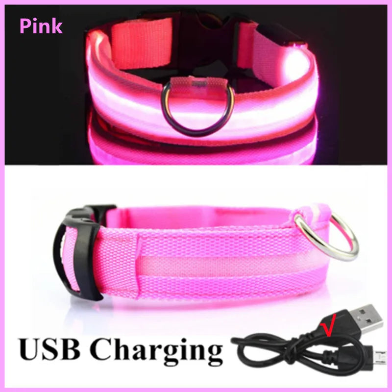 Coleira luminosa recarregável USB