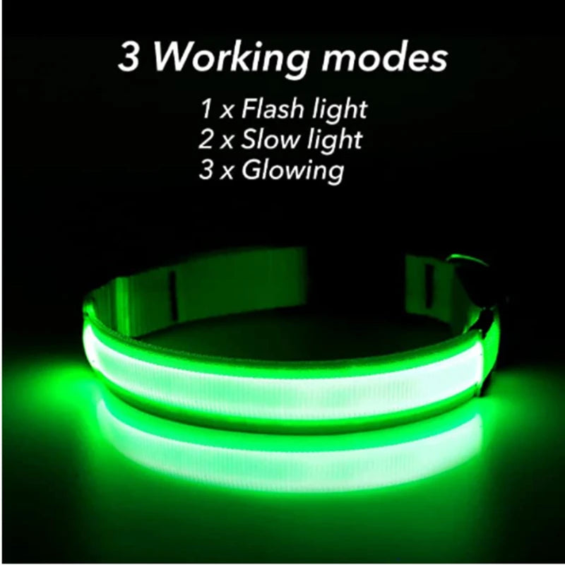 Coleira luminosa recarregável USB