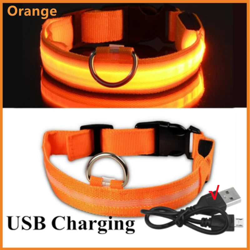 Coleira luminosa recarregável USB