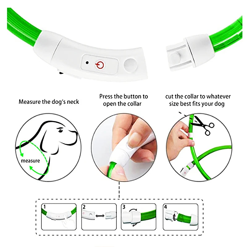 Coleira luminosa recarregável USB